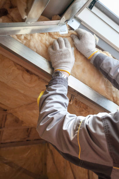 Best Insulation Maintenance and Repair in Lanett, AL