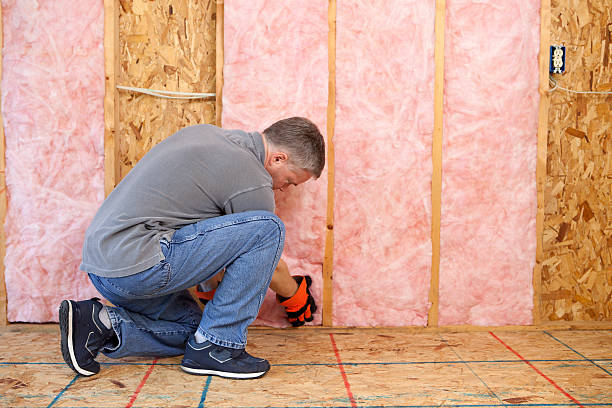 Best Energy Efficiency Insulation in Lanett, AL